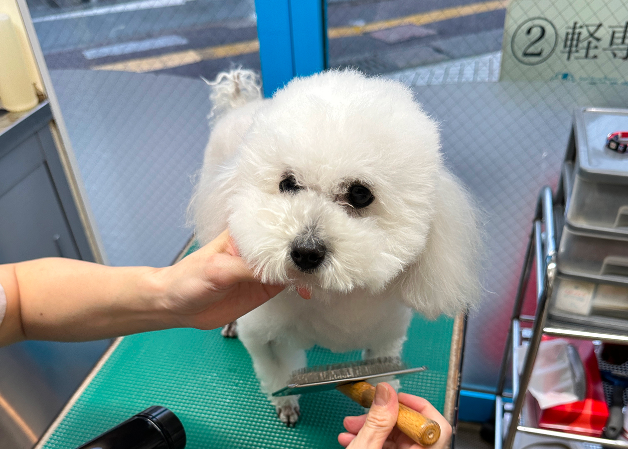 サービス内容