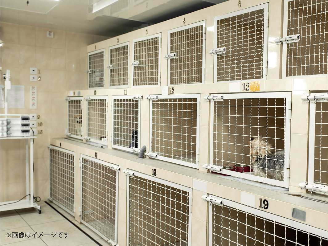 施設・お預かり環境