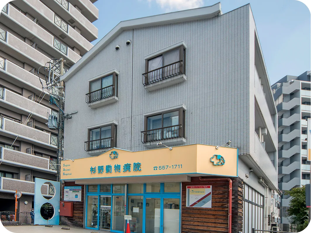 杉野動物病院